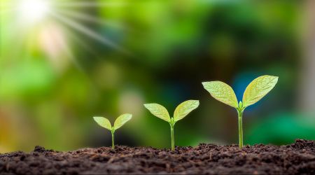 Our Growth